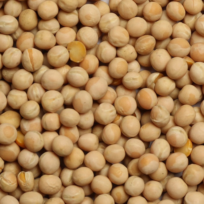 Canadian Peas Premium Canadian Peas for Racing Pigeons - 5 LBS | Chicken Antibiotics