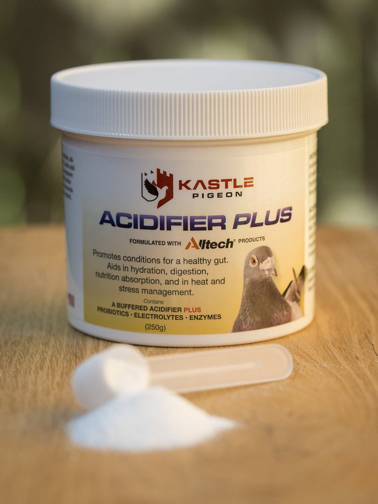 ACIDIFIER PLUS (Kastle) - 500gr | Chicken Antibiotics