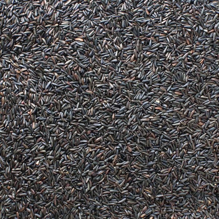 Nyger Seed Premium Nyjer Seed for Birds/Nyger Finch Food - 5 LBS | Chicken Antibiotics