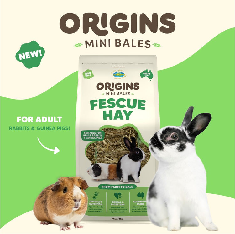 Origins Fescue Hay Mini Bale | Vetafarm at ChickenAntibiotics.com