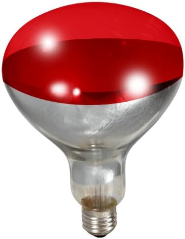 250 Watt Heat Lamp Bulb – Poultry Brooder & Livestock Heat Light (120V) | Chicken Antibiotics