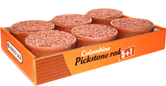 Red Pickstone (Versele-Laga) Premium Clay Pot Pigeon Mineral Supplement | Chicken Antibiotics