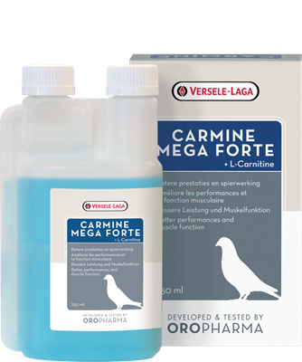 Carmine Mega Forte (Versele-Laga) Liquid L-Carnitine for Racing Pigeons | Chicken Antibiotics