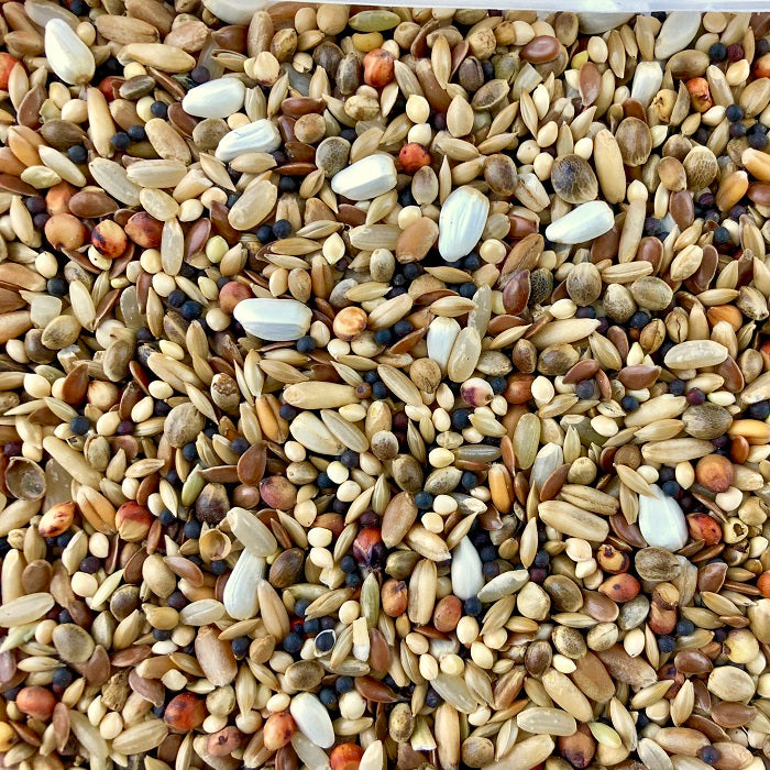 Chicken Antibiotics Candy Treat: Millet/Hemp Bird Seed Mix with Sweet Treats - 5 lbs | Chicken Antibiotics