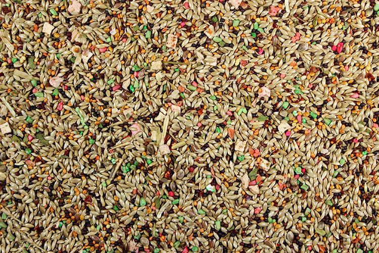 Canary Roller Cuisine Premium Canary Food/Canary Seed Mix - 4 lbs | Chicken Antibiotics