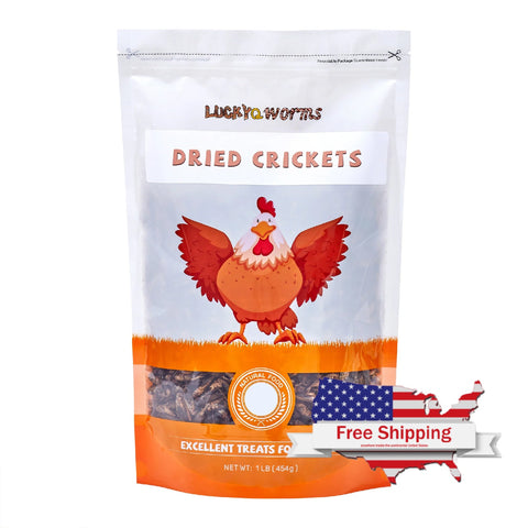 LuckyQworms 1lb Dried Crickets – High-Protein Natural Insect Feed for Chickens, Birds, Reptiles & Fish | All-Natural, Reseala