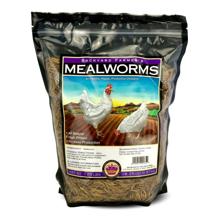 Mealworms: Dried Mealworms - 11 lbs | Chicken Antibiotics