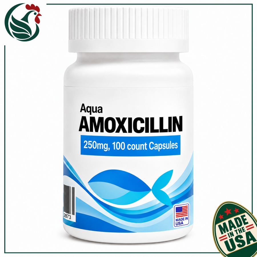 Fish Amoxicillin 250mg 100 Capsules