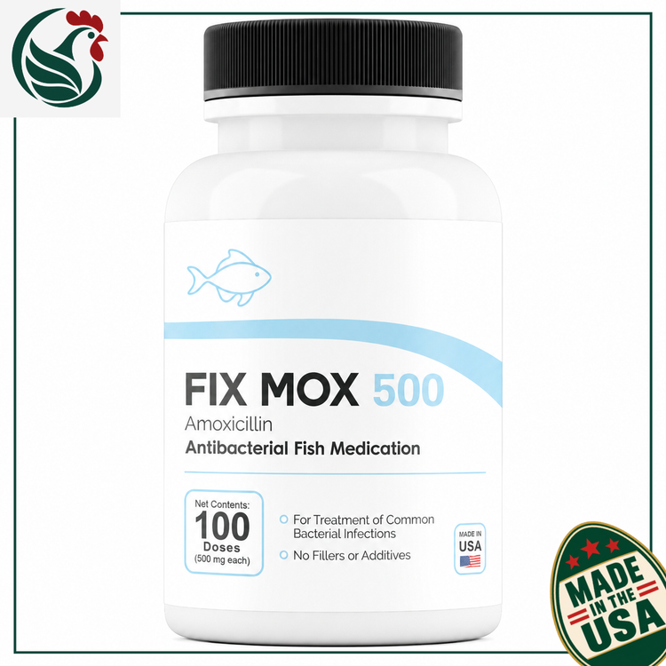 Fish Mox 500mg 100 Capsules