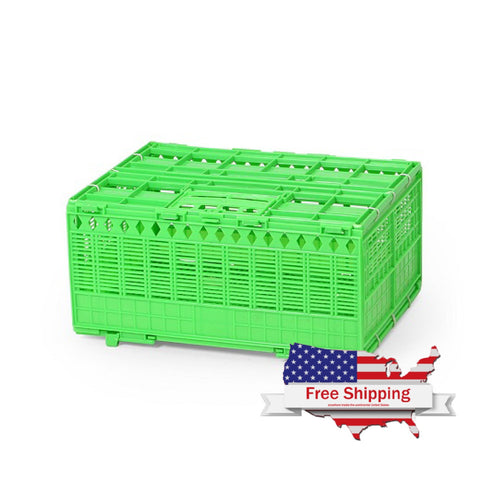 Economy Collapsible Basket (Crown) Pigeon Transport/Bird Travel Cage - 4 bird | Chicken Antibiotics