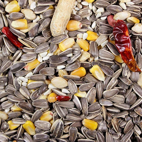 Parrot Mix Premium Parrot Food - 5 lbs | Chicken Antibiotics