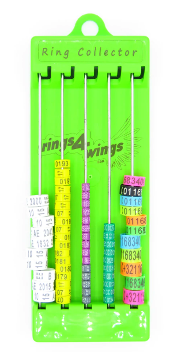 PLASTIC RING BAND HOLDER (Smisdom) | Chicken Antibiotics