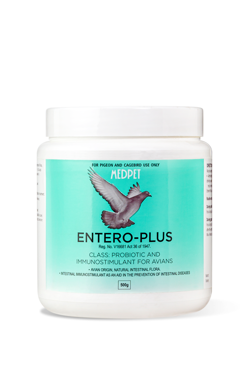 Entero Plus (Medpet) Probiotic for Pigeons / Avian Immunostimulant | Chicken Antibiotics
