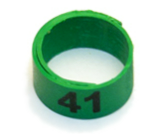 WRAP-AROUND SERIES NUMBERED BANDS - 7 / White / 51-75 | Chicken Antibiotics
