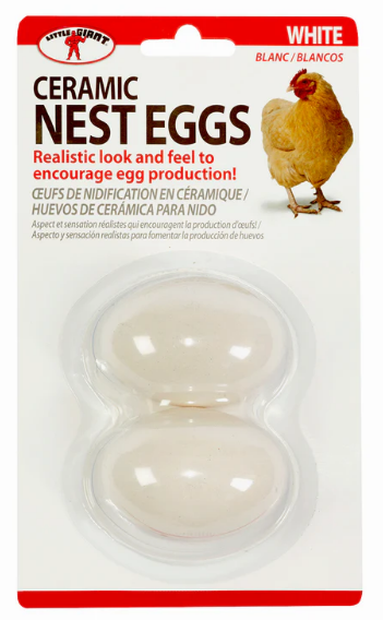Ceramic Nest Eggs – Realistic Egg Decoys for Hens, 2-Pack - White | Chicken Antibiotics