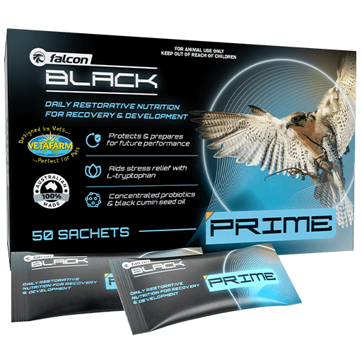 Falcon Black Prime - Stress Relief & Recovery Support for Falcons | Vetafarm at ChickenAntibiotics.com