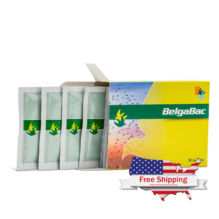 BELGABAC (De Weerd) - 10 x 5 g | Chicken Antibiotics