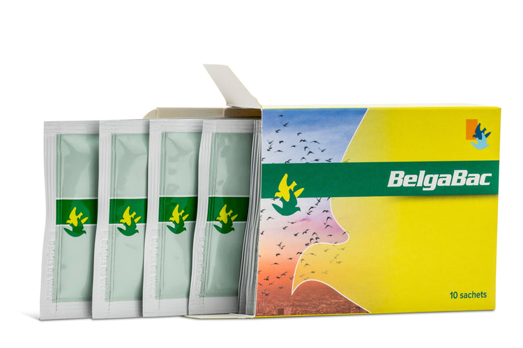 BELGABAC (De Weerd) | Chicken Antibiotics
