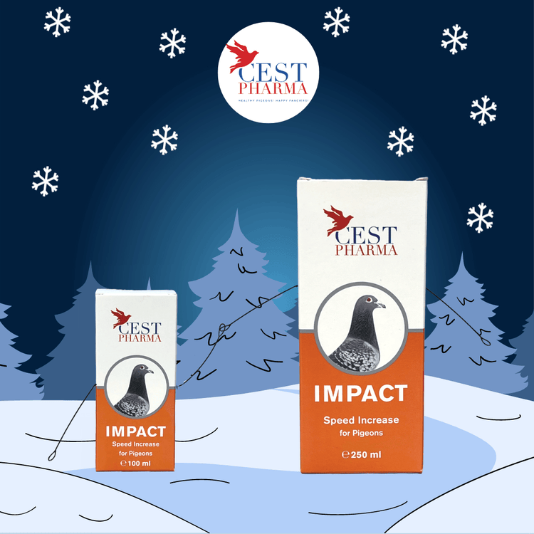 Cest Impact- High Energy Tonic for Pigeon Racing & Breeding | Chicken Antibiotics