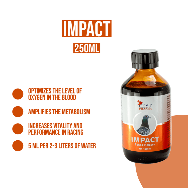 Cest Impact- High Energy Tonic for Pigeon Racing & Breeding - 250 ml (8.5 fl oz) | Chicken Antibiotics