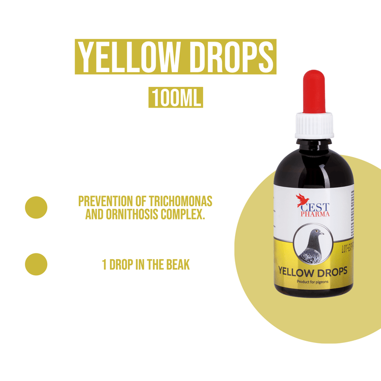 Cest Yellow Drops for Pigeons - Eliminates Fungi, Canker, & Bacteria | Chicken Antibiotics