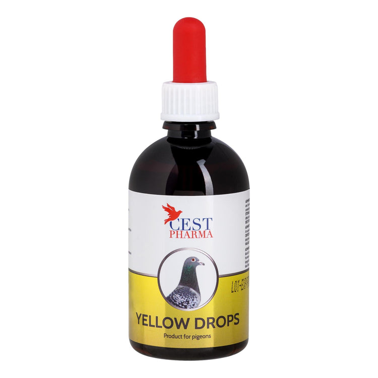 Cest Yellow Drops for Pigeons - Eliminates Fungi, Canker, & Bacteria - 100 ml (3.4 fl oz) | Chicken Antibiotics