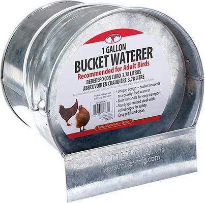 Little Giant Galvanized Bucket Poultry Waterer | Chicken Antibiotics