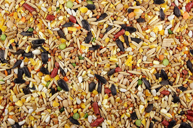 El Cantador with Cracked Corn (Leach Grain) Premium Chicken Feed With Cracked Corn - 50 pds | Chicken Antibiotics