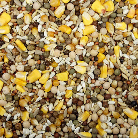 KC-5 Race Mix (Leach Grain & Milling) High-Performance Whole Corn Racing Pigeon Feed | Chicken Antibiotics