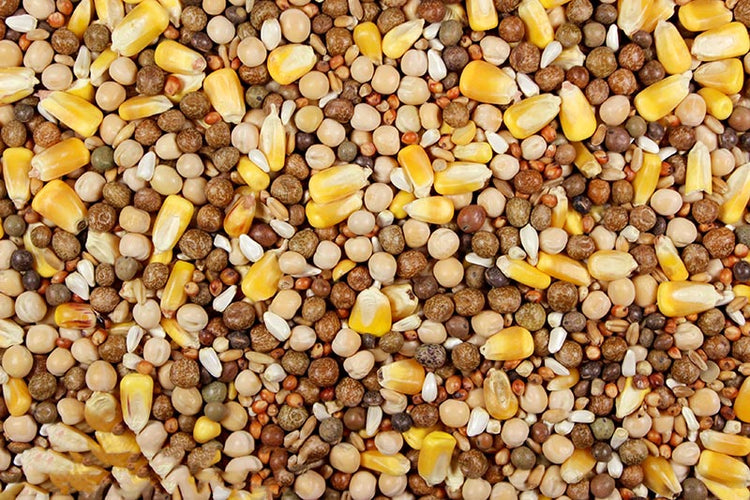 Super Race 17% (Leach Grain & Milling) Premium Racing Pigeon Feed | Chicken Antibiotics