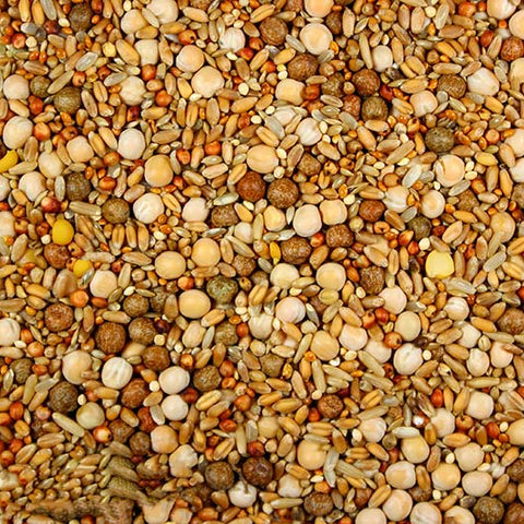 Breeder Conditioner (Leach Grain & Milling) 17.50% | Chicken Antibiotics