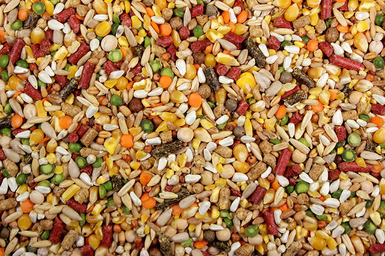 High-Octane with Cracked Corn (Leach Grain & Milling) Fuel for Energizing Chickens, Poultry & Game Birds | Chicken Antibiotic