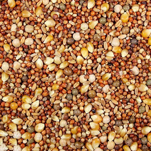 12% Pigeon Feed (Leach Grain & Milling) | Chicken Antibiotics