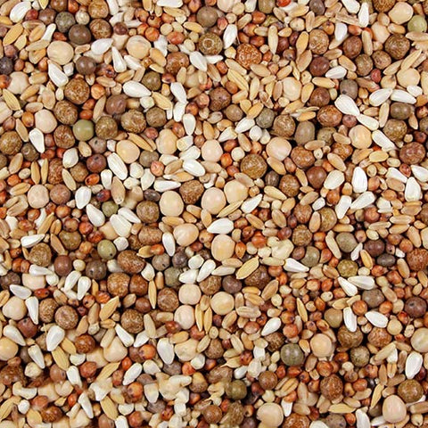 16% Low Carb Pigeon Feed (Leach Grain & Milling) No Corn Pigeon Feed Mix | Chicken Antibiotics