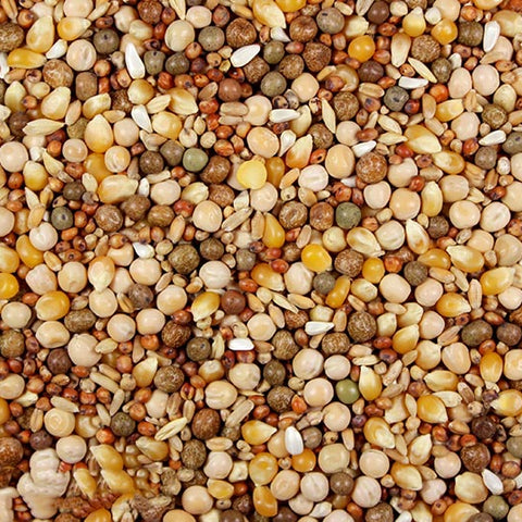 16% Royal Race (Leach Grain & Milling) Premium Racing Pigeon Feed | Chicken Antibiotics