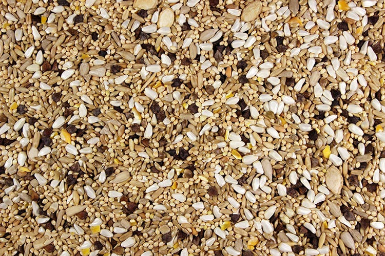Small Hookbill Quality Small Hookbill Food - 25 LBS | Chicken Antibiotics