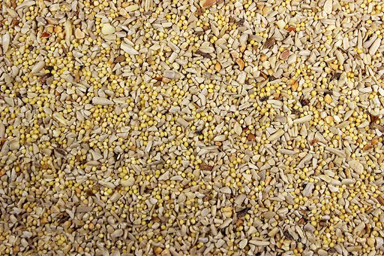 Wild Bird Seed No Mess No Mess Wild Bird Feed | Chicken Antibiotics