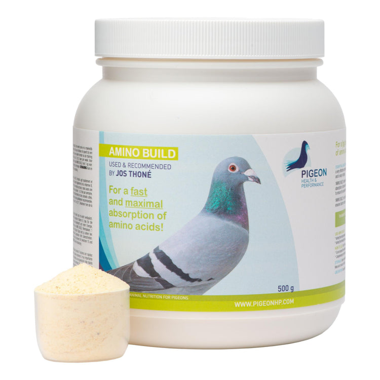 PHP Amino Build - Muscle-Building Amino Acids - 500g (1.1lb) | Chicken Antibiotics