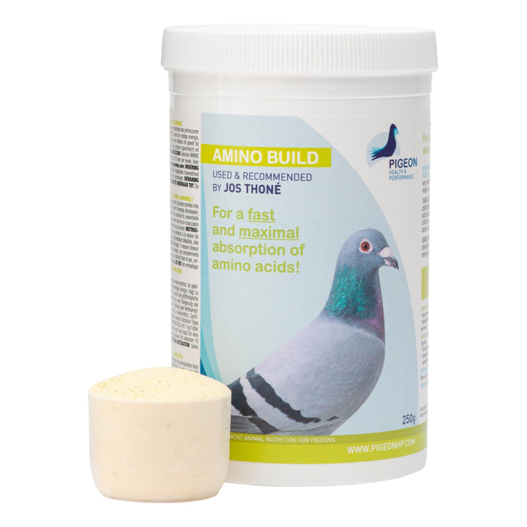 PHP Amino Build - Muscle-Building Amino Acids | Chicken Antibiotics