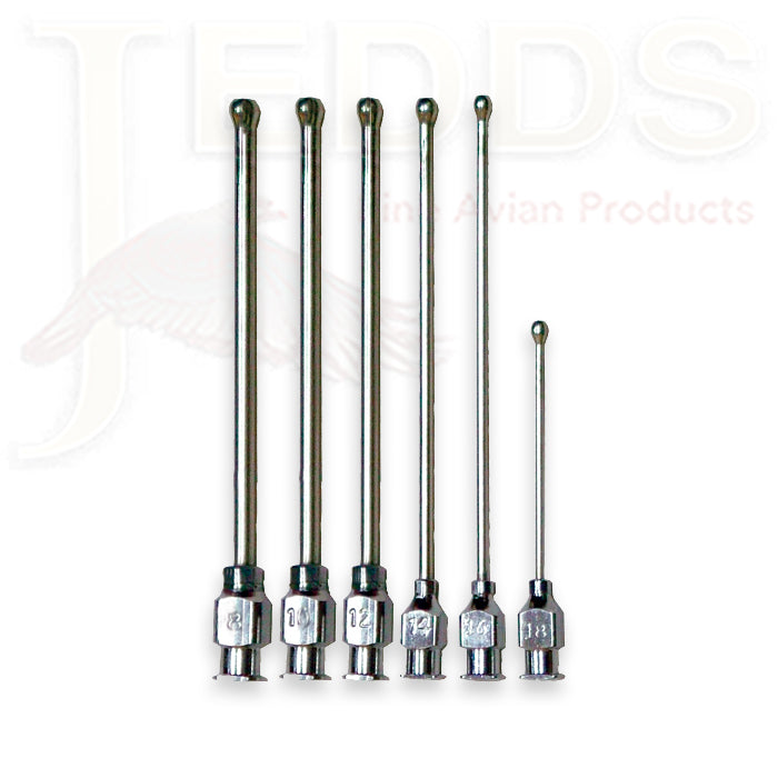 Medication Tube/Crop Needle (Vetafarm) for Hand Raising Birds & Emergency Feeding Birds - Size 8 | Chicken Antibiotics