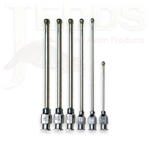 Medication Tube/Crop Needle for Hand Raising Birds & Emergency Feeding Birds – Size 8 | Vetafarm at ChickenAntibiotics.com