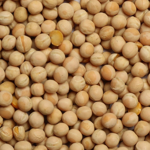 Canadian Peas Premium Canadian Peas for Racing Pigeons - 5 LBS | Chicken Antibiotics