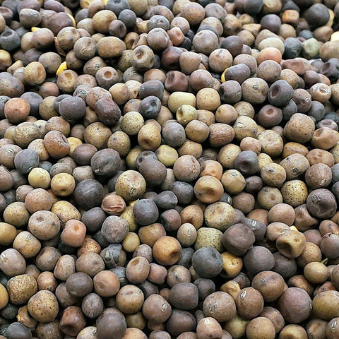 Austrian Peas Quality Pigeon Supplement & Bird Food - 5 LBS | Chicken Antibiotics