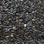 Black Oil Sunflower Seed - 5 LBS | Chicken Antibiotics
