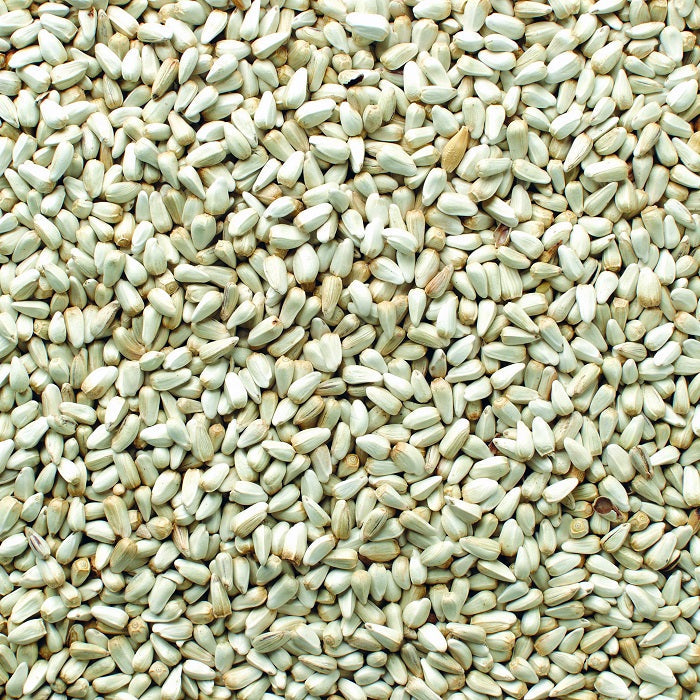 Safflower Seed Premium Safflower Bird Seed - 5 LBS | Chicken Antibiotics