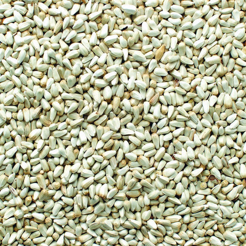 Safflower Seed Premium Safflower Bird Seed - 5 LBS | Chicken Antibiotics