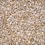 Hulled Sunflower Shell-Free Bird Food - 5 LBS | Chicken Antibiotics