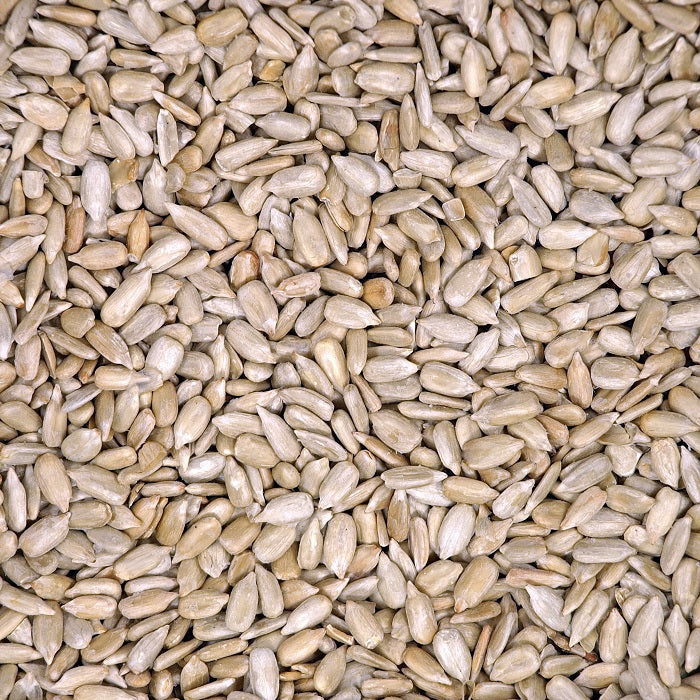 Hulled Sunflower Shell-Free Bird Food - 5 LBS | Chicken Antibiotics