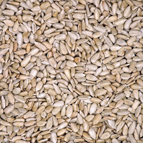 Hulled Sunflower Shell-Free Bird Food - 5 LBS | Chicken Antibiotics