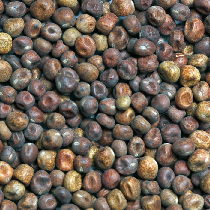 Maple Peas Quality Maple Peas for Pigeons - 5 LBS | Chicken Antibiotics